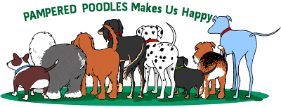 Dog Grooming